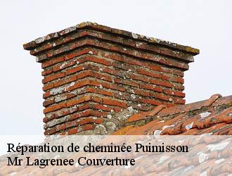 Réparation de cheminée puimisson-34480 Mr Lagrenee Couverture