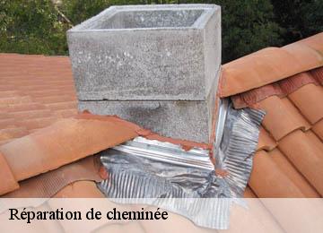 Réparation de cheminée