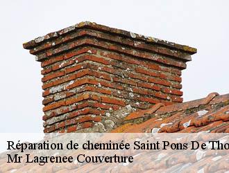Réparation de cheminée saint-pons-de-thomieres-34220 Mr Lagrenee Couverture