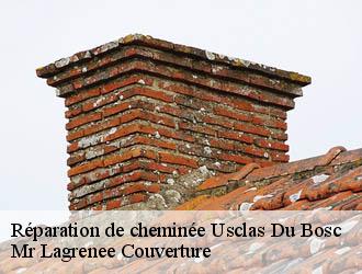 Réparation de cheminée usclas-du-bosc-34700 Mr Lagrenee Couverture