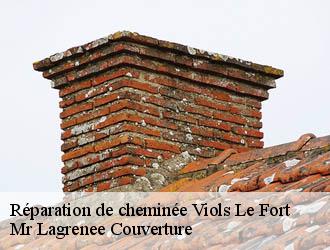 Réparation de cheminée viols-le-fort-34380 Mr Lagrenee Couverture