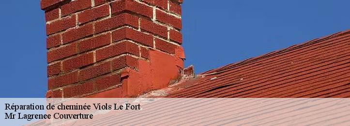 Réparation de cheminée 34380