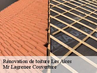 Rénovation de toiture les-aires-34600 Mr Lagrenee Couverture