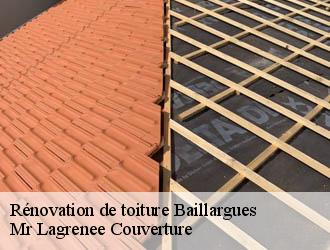Rénovation de toiture baillargues-34670 Mr Lagrenee Couverture