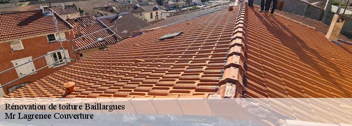 Rénovation de toiture 34670