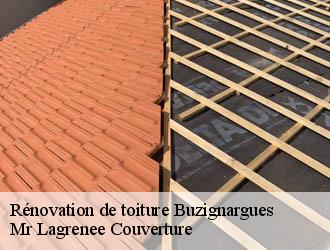 Rénovation de toiture buzignargues-34160 Mr Lagrenee Couverture