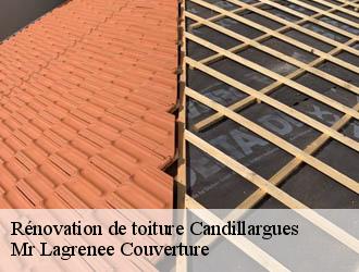 Rénovation de toiture candillargues-34130 Mr Lagrenee Couverture