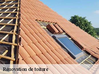 Rénovation de toiture