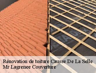 Rénovation de toiture causse-de-la-selle-34380 Mr Lagrenee Couverture