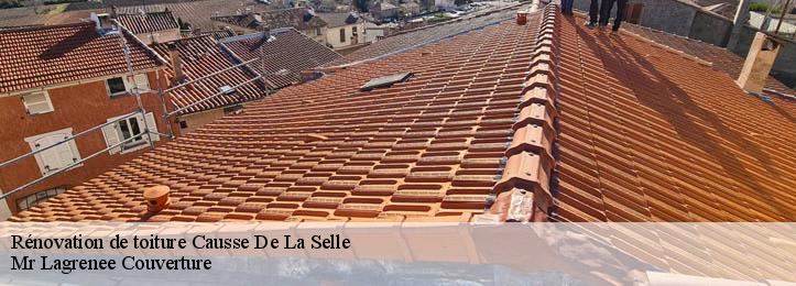 Rénovation de toiture 34380