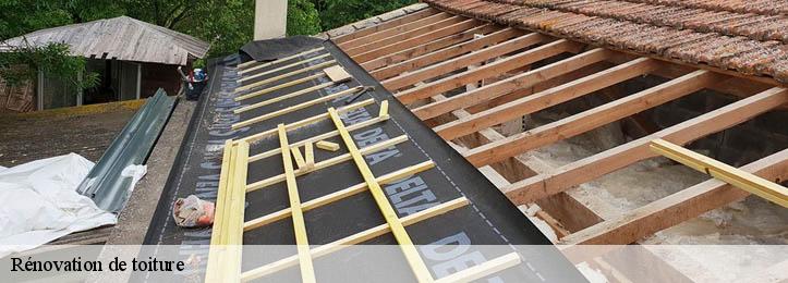 Rénovation de toiture 34370