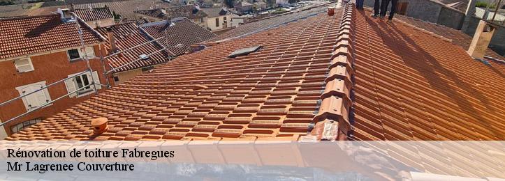 Rénovation de toiture 34690