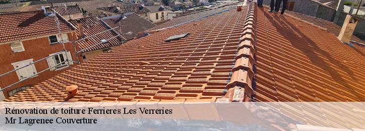 Rénovation de toiture  34190