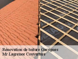 Rénovation de toiture garrigues-34160 Mr Lagrenee Couverture