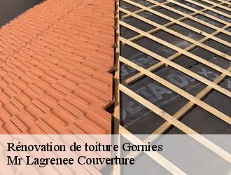 Rénovation de toiture gornies-34190 Mr Lagrenee Couverture