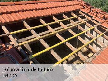 Rénovation de toiture  34725