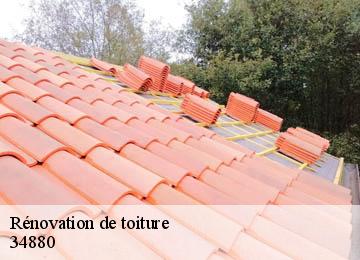 Rénovation de toiture  34880