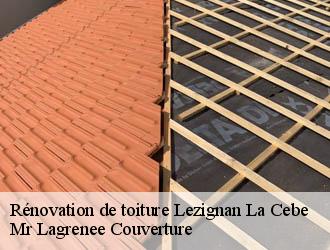 Rénovation de toiture  lezignan-la-cebe-34120 Mr Lagrenee Couverture