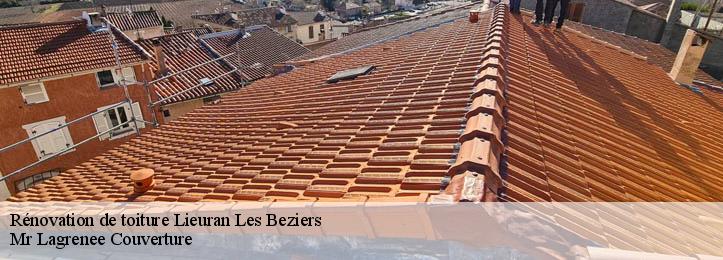 Rénovation de toiture 34290