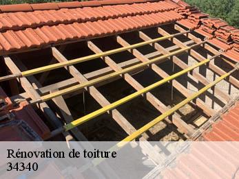 Rénovation de toiture  34340