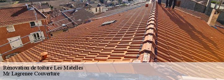 Rénovation de toiture 34270