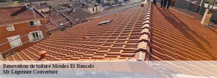 Rénovation de toiture 34190