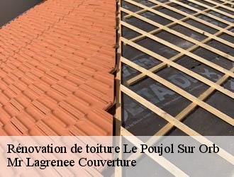 Rénovation de toiture le-poujol-sur-orb-34600 Mr Lagrenee Couverture