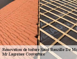 Rénovation de toiture saint-bauzille-de-montmel-34160 Mr Lagrenee Couverture