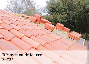 Rénovation de toiture  34725