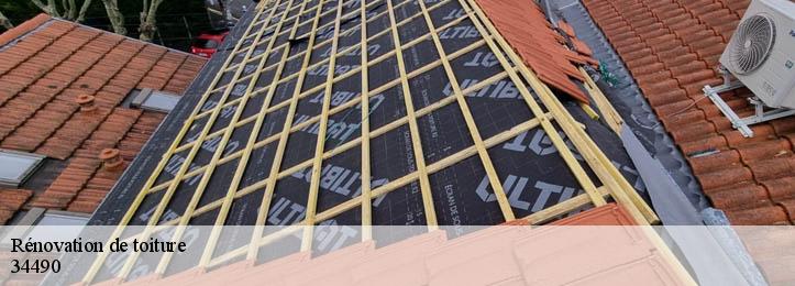Rénovation de toiture 34490