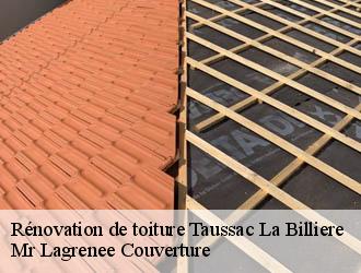 Rénovation de toiture taussac-la-billiere-34600 Mr Lagrenee Couverture