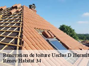 Rénovation de toiture  usclas-d-herault-34230 Rénov Habitat 34 