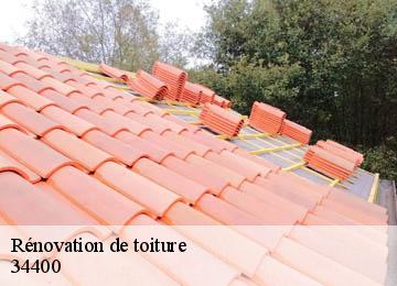 Rénovation de toiture 34400