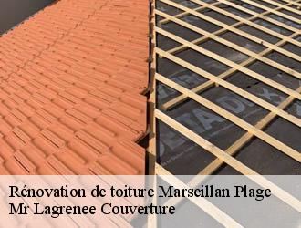 Rénovation de toiture marseillan-plage-34340 Mr Lagrenee Couverture