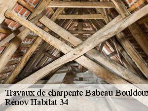 Travaux de charpente  babeau-bouldoux-34360 Rénov Habitat 34 