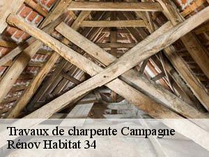 Travaux de charpente  campagne-34160 Rénov Habitat 34 