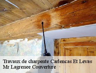 Travaux de charpente  carlencas-et-levas-34600 Mr Lagrenee Couverture