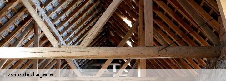 Travaux de charpente  34600