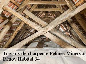 Travaux de charpente  felines-minervois-34210 Rénov Habitat 34 
