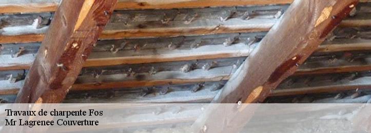 Travaux de charpente 34320