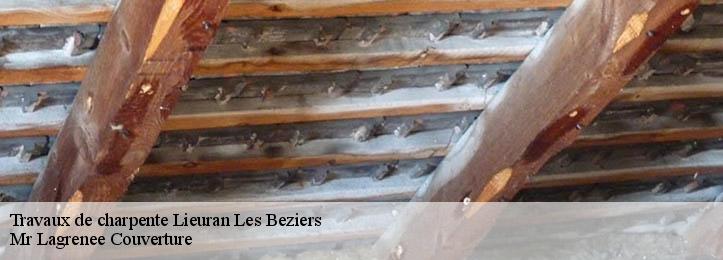 Travaux de charpente 34290