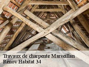 Travaux de charpente marseillan-34340 Rénov Habitat 34