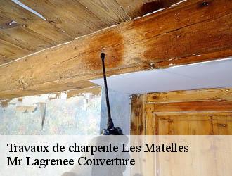 Travaux de charpente les-matelles-34270 Mr Lagrenee Couverture