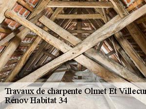 Travaux de charpente  olmet-et-villecun-34700 Rénov Habitat 34 