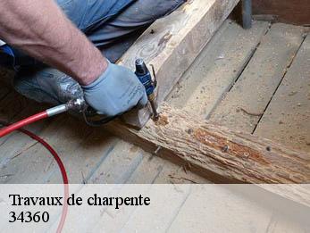 Travaux de charpente  34360