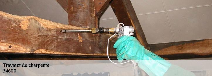 Travaux de charpente 34600