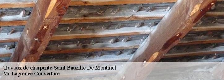 Travaux de charpente  34160