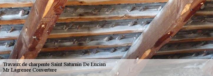 Travaux de charpente 34725