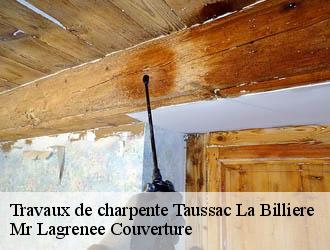 Travaux de charpente taussac-la-billiere-34600 Mr Lagrenee Couverture