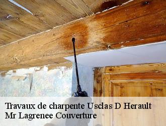 Travaux de charpente usclas-d-herault-34230 Mr Lagrenee Couverture